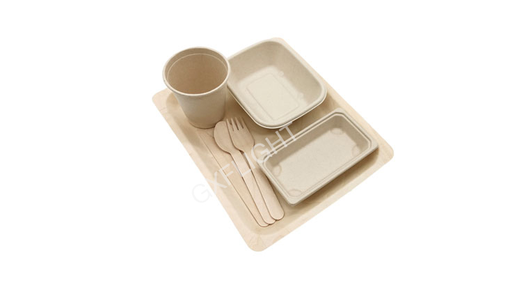 Biodergradable sugarcane bagasse tableware