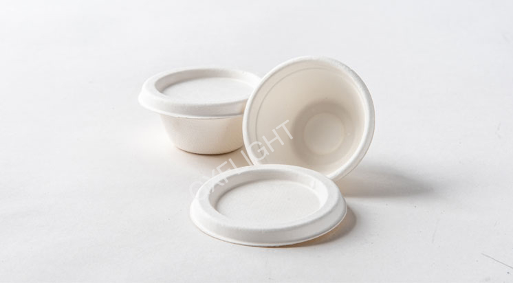 Bagasse Cup
