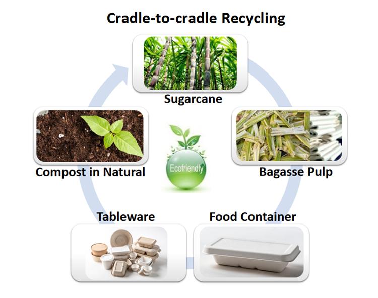 bagasse-tableware-production.jpg