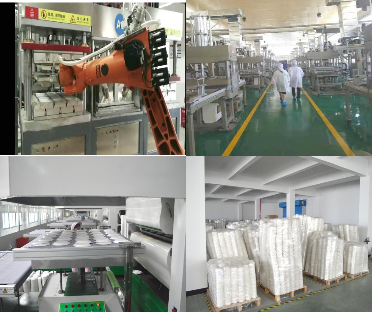 sugarcane-tableware-workshop.jpg